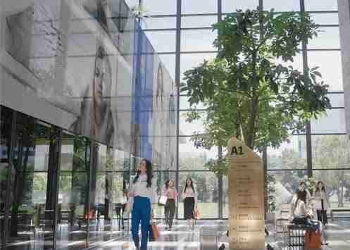 红龙扑克光电简介